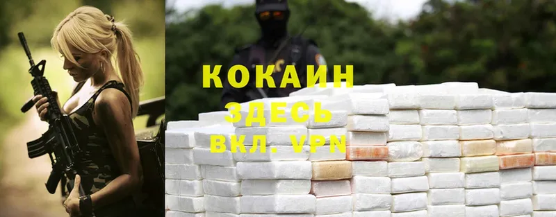 Cocaine FishScale  закладки  Новоаннинский 